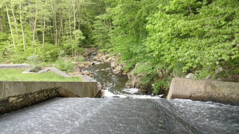 Schooley's Mountain Park - Long Valley, NJ