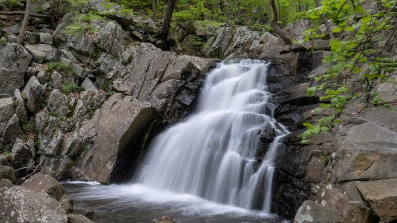 Schooley's Mountain Park - Long Valley, NJ