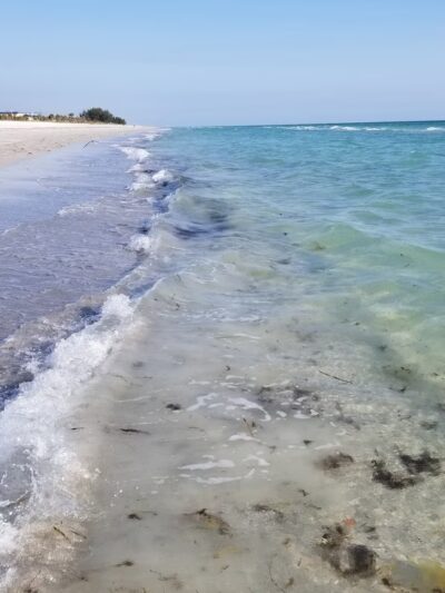 Bayfront Park - Longboat Key, FL