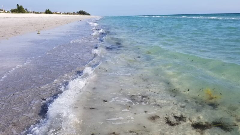 Bayfront Park - Longboat Key, FL