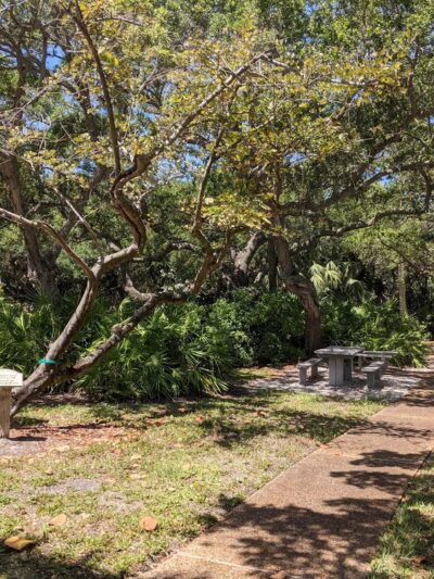 Bicentennial Park - Longboat Key, FL