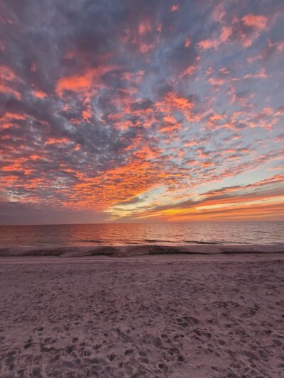Public Beach Access (Park at Bayfront Park) - Longboat Key, FL