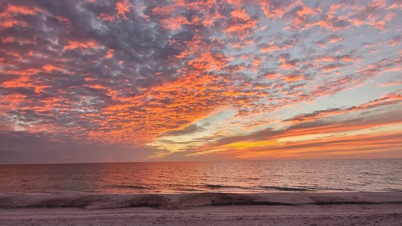 Public Beach Access (Park at Bayfront Park) - Longboat Key, FL