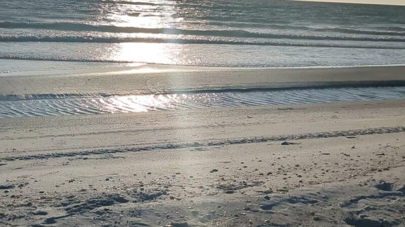 Public Beach Access (Park at Bayfront Park) - Longboat Key, FL