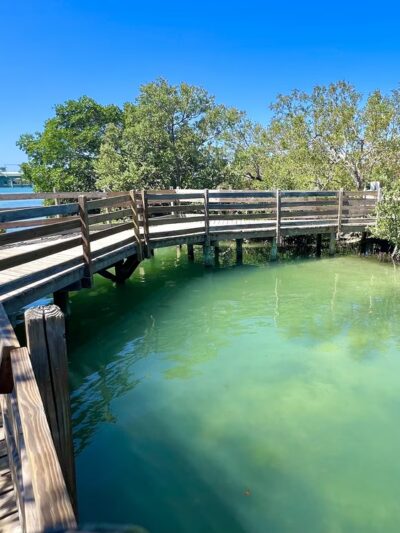 Quick Point Nature Preserve - Longboat Key, FL