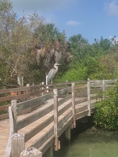Quick Point Nature Preserve - Longboat Key, FL