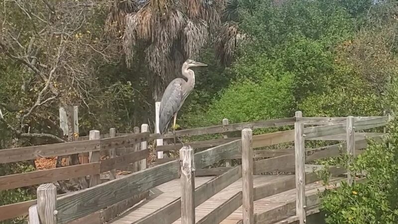 Quick Point Nature Preserve - Longboat Key, FL