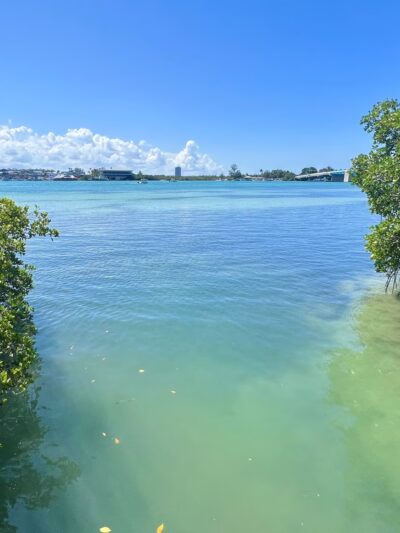 Quick Point Nature Preserve - Longboat Key, FL