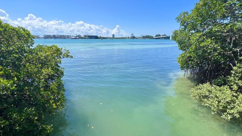 Quick Point Nature Preserve - Longboat Key, FL