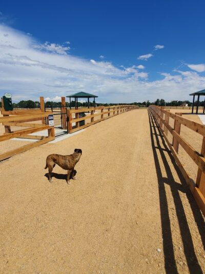 Aisik's Meadow Dog Park - Longmont, CO