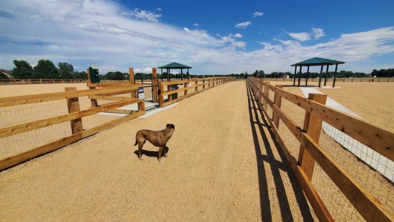 Aisik's Meadow Dog Park - Longmont, CO