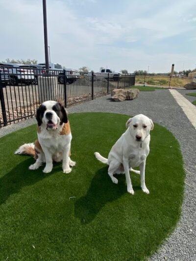 Fowler i25 Kia Community Dog Park - Longmont, CO