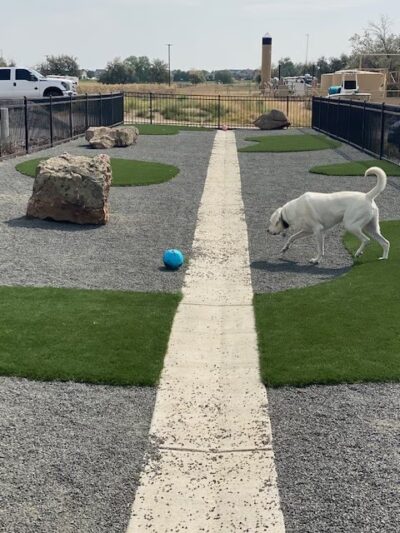 Fowler i25 Kia Community Dog Park - Longmont, CO
