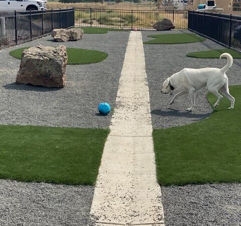 Fowler i25 Kia Community Dog Park - Longmont, CO