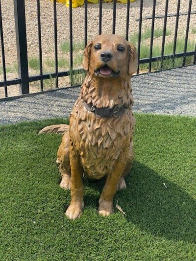 Fowler i25 Kia Community Dog Park - Longmont, CO