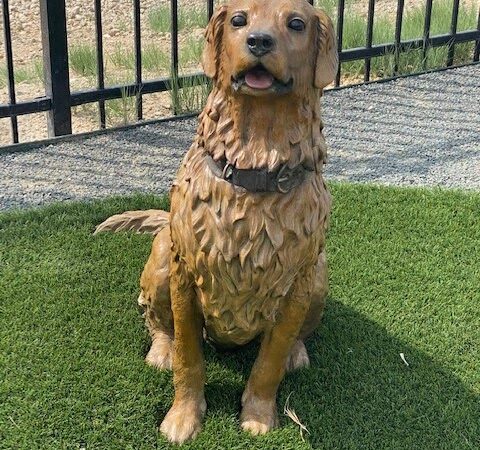 Fowler i25 Kia Community Dog Park - Longmont, CO