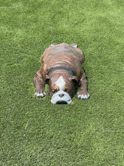 Fowler i25 Kia Community Dog Park - Longmont, CO