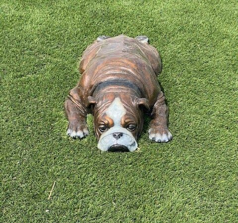 Fowler i25 Kia Community Dog Park - Longmont, CO
