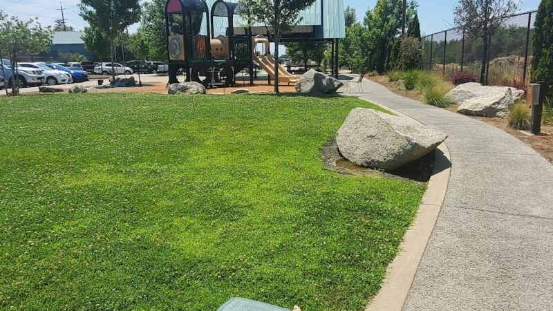 Blue Anchor Park - Loomis, CA