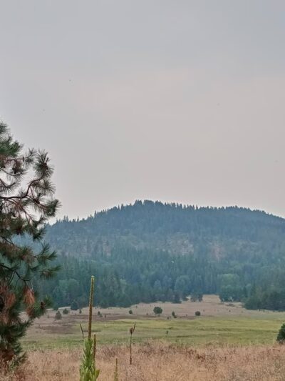 Old Just Farm Park - Loon Lake, WA