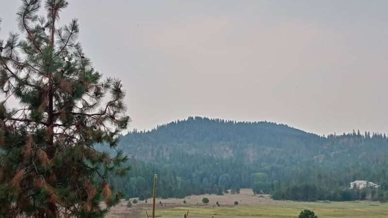 Old Just Farm Park - Loon Lake, WA