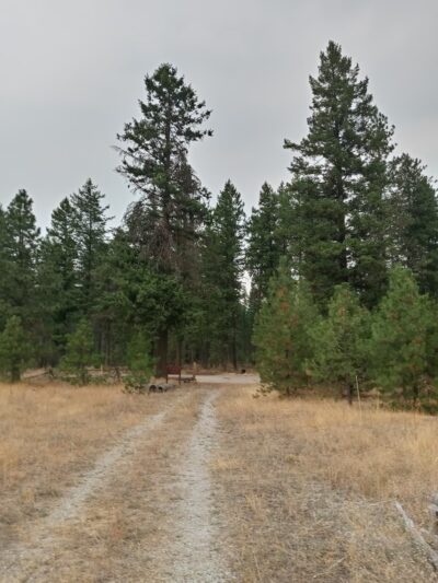 Old Just Farm Park - Loon Lake, WA