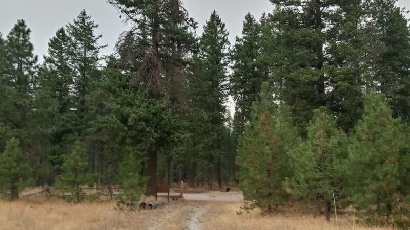 Old Just Farm Park - Loon Lake, WA