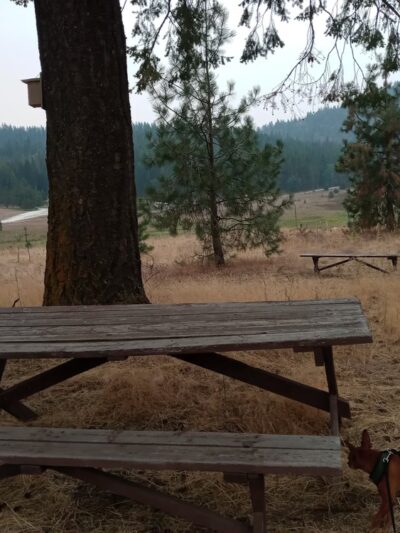 Old Just Farm Park - Loon Lake, WA