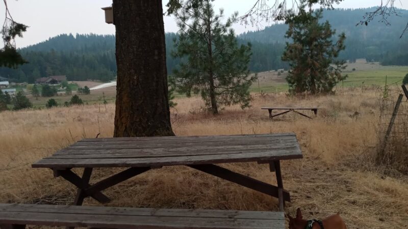 Old Just Farm Park - Loon Lake, WA