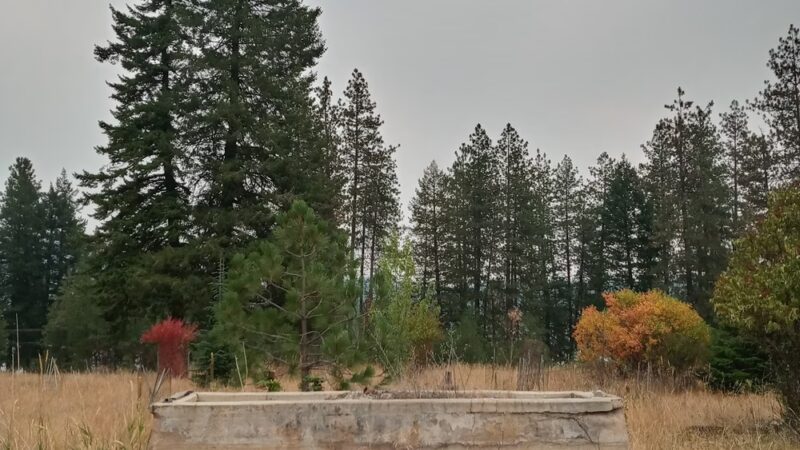 Old Just Farm Park - Loon Lake, WA