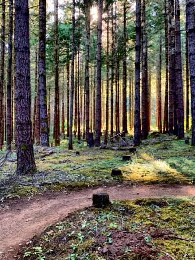 Carpenter Bypass Trail System - Lorane, OR