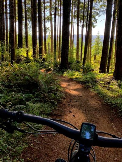 Carpenter Bypass Trail System - Lorane, OR
