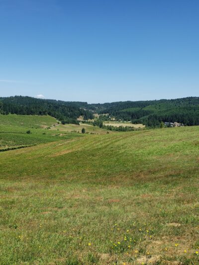Lorane - Lorane, OR