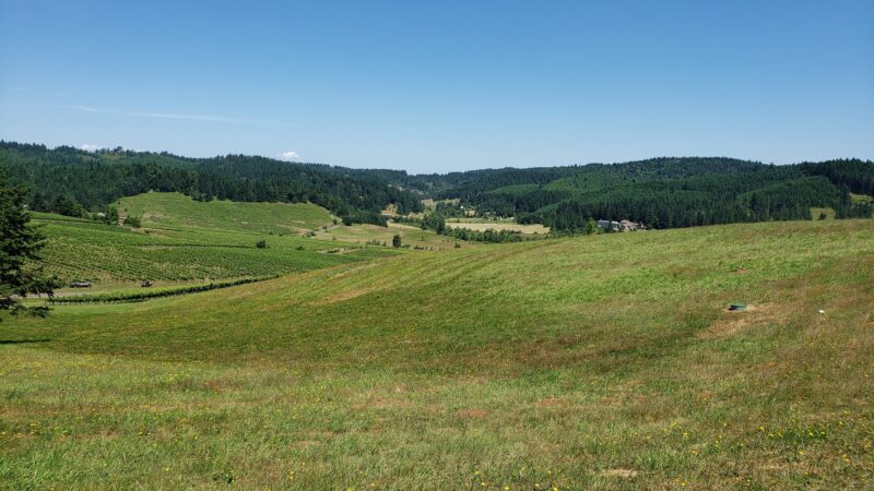 Lorane - Lorane, OR