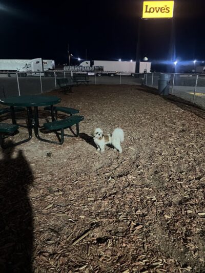 Dog Park at Love's Travel Stops - Lordsburg, NM