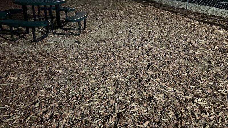 Dog Park at Love's Travel Stops - Lordsburg, NM