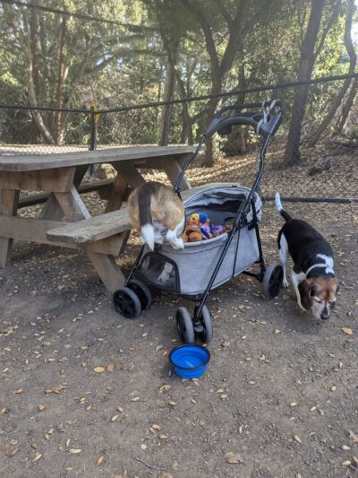 Los Altos Hills Dog Park - Los Altos Hills, CA