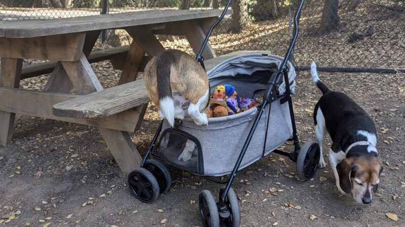 Los Altos Hills Dog Park - Los Altos Hills, CA