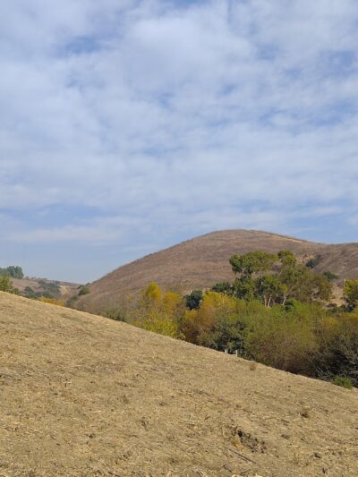 ASCOT HILLS PARK - Los Angeles, CA