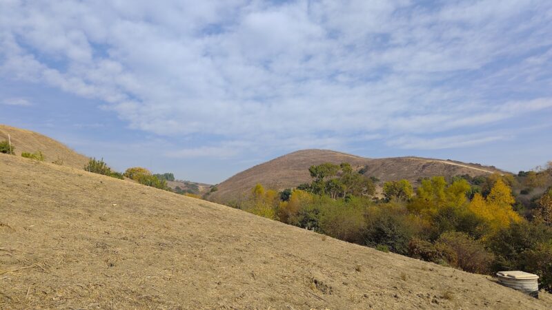 ASCOT HILLS PARK - Los Angeles, CA