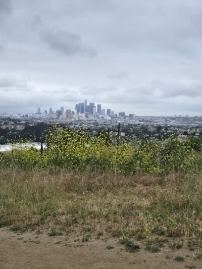 ASCOT HILLS PARK - Los Angeles, CA