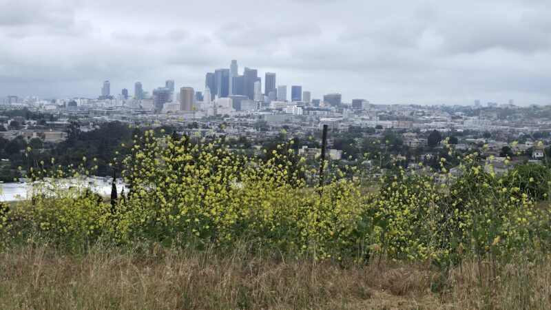 ASCOT HILLS PARK - Los Angeles, CA