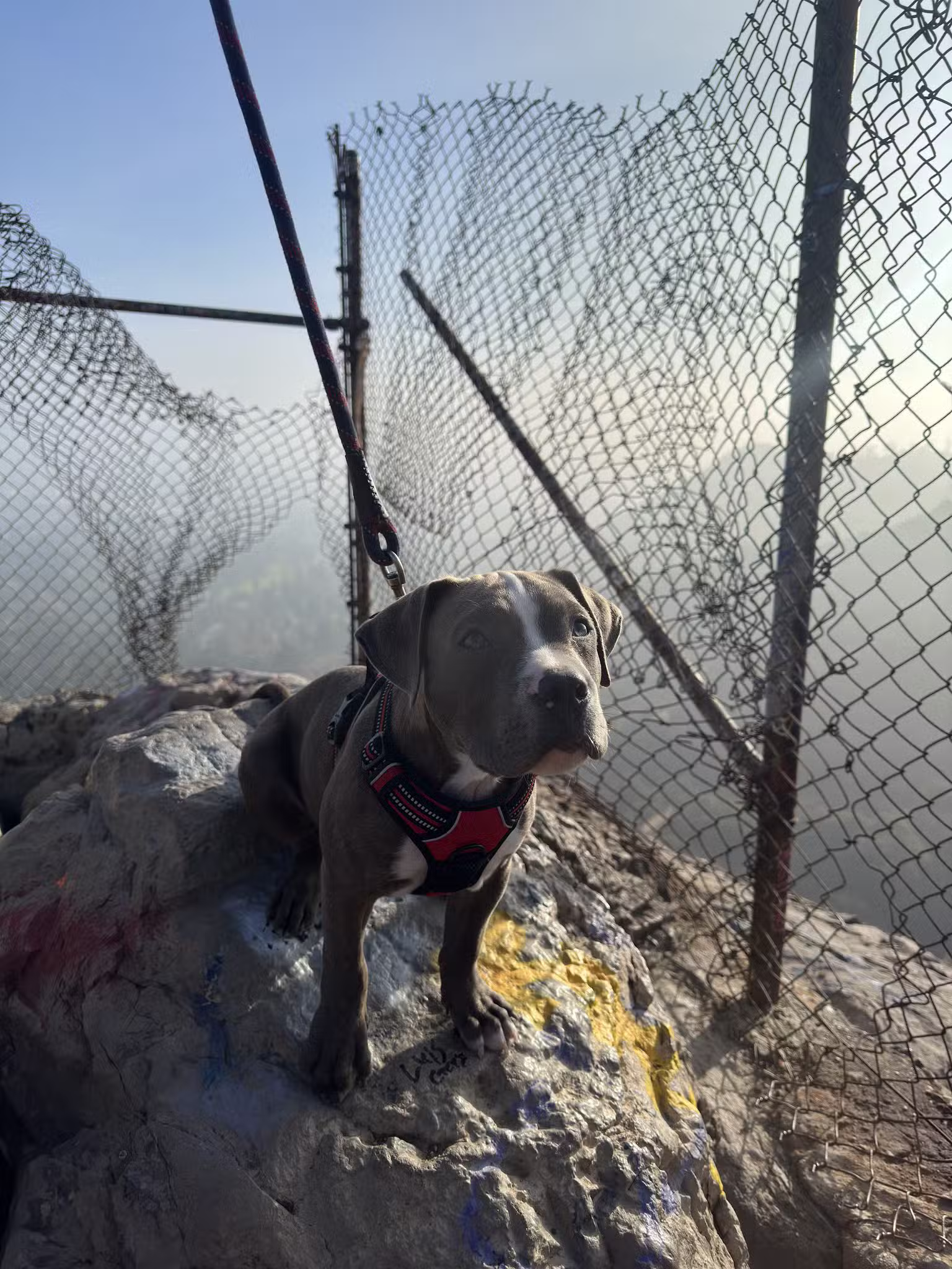 Bee Rock - Los Angeles, CA