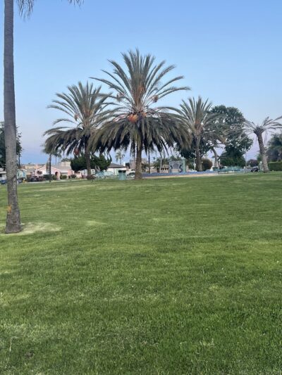 Circle Park - Los Angeles, CA