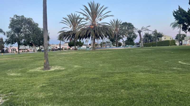 Circle Park - Los Angeles, CA