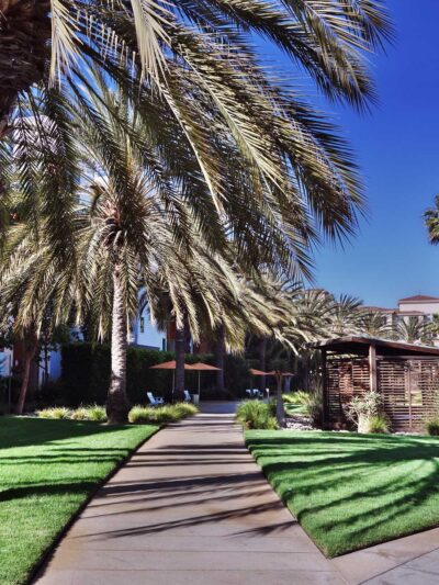 Common Grounds Park - Los Angeles, CA