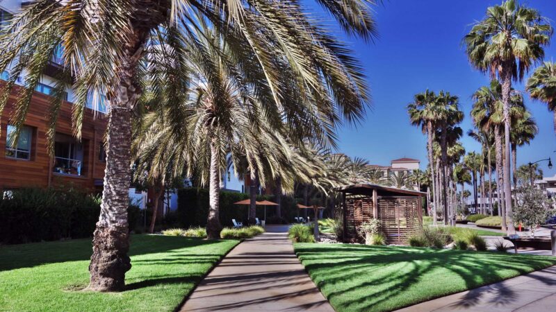 Common Grounds Park - Los Angeles, CA