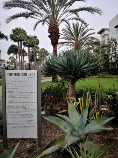 Common Grounds Park - Los Angeles, CA