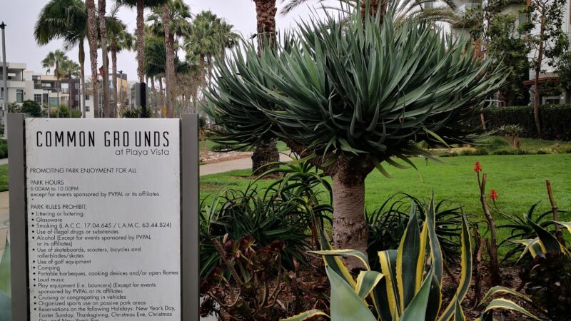 Common Grounds Park - Los Angeles, CA