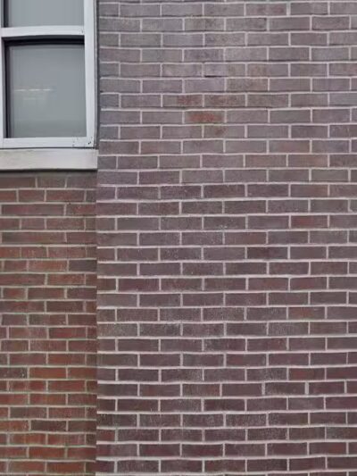 dog drumming - Los Angeles, CA